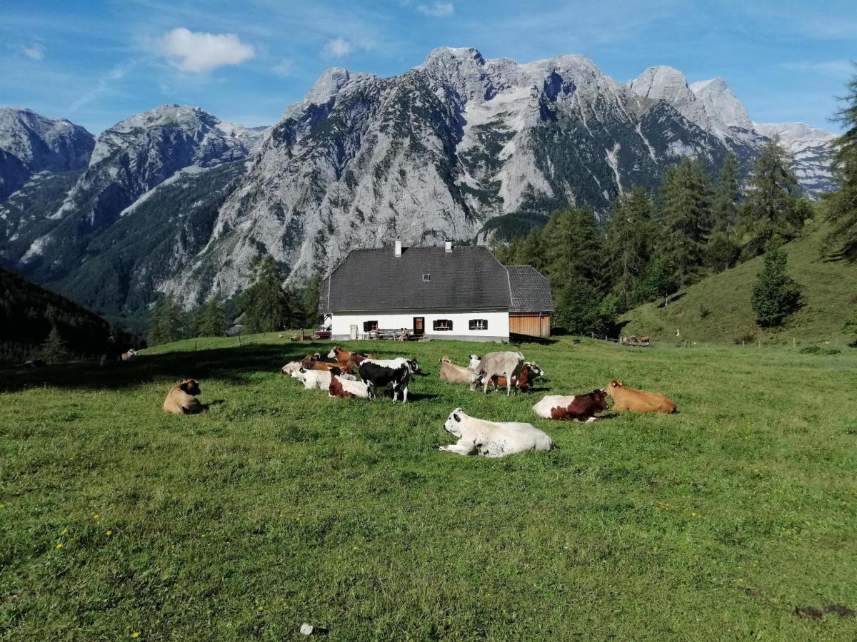 Gausrab